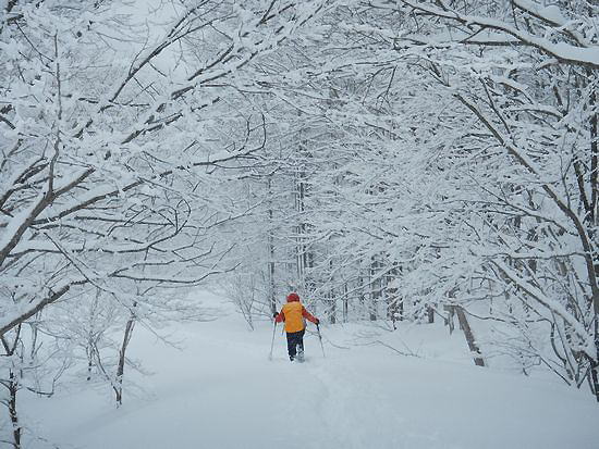 静寂な裏磐梯