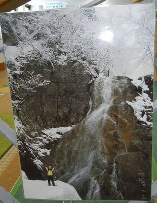 ぶな太郎とイエローフォール
