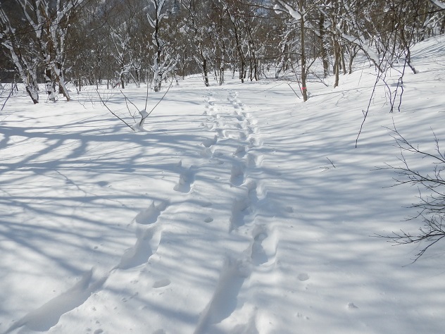 二ツ小屋隧道の聖母マリア
