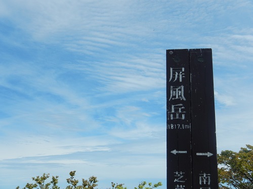 初夏に咲く南蔵王の花