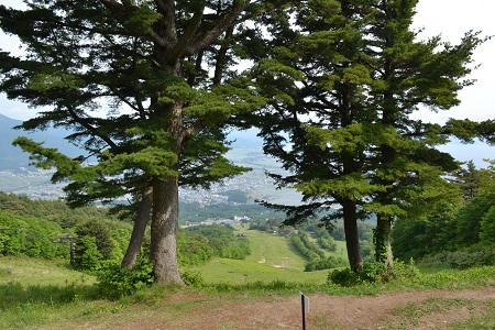 季節限定バンクワの磐梯山