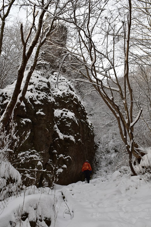 モルゲンと霧氷に包まれた霊山