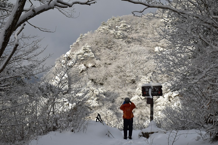 モルゲンと霧氷に包まれた霊山