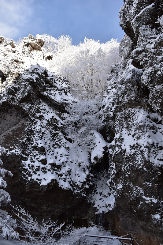 モルゲンと霧氷に包まれた霊山