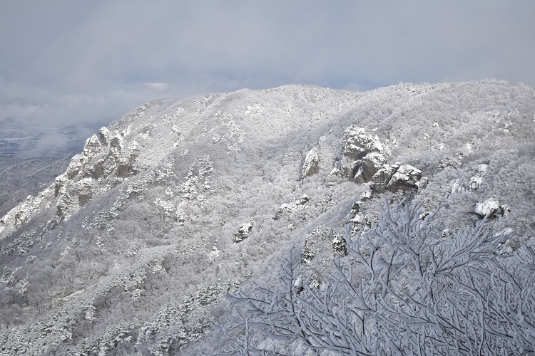 モルゲンと霧氷に包まれた霊山