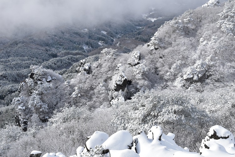 モルゲンと霧氷に包まれた霊山