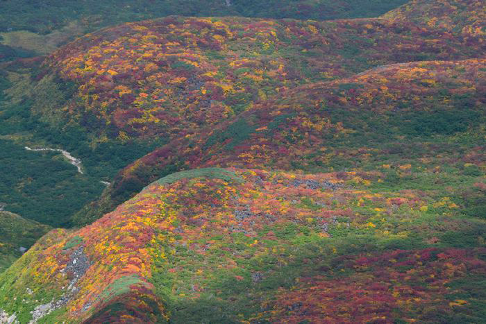紅葉と静寂の鳥海山へ