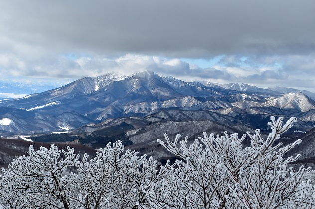 箕輪山の霧氷