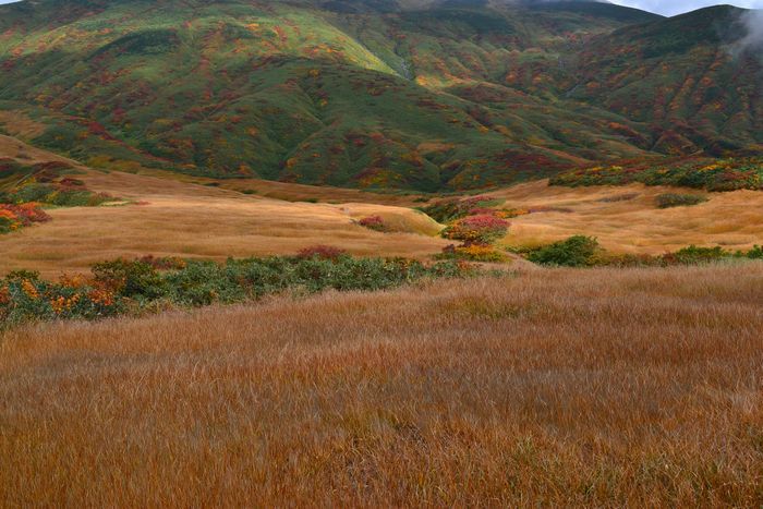 紅葉と静寂の鳥海山へ