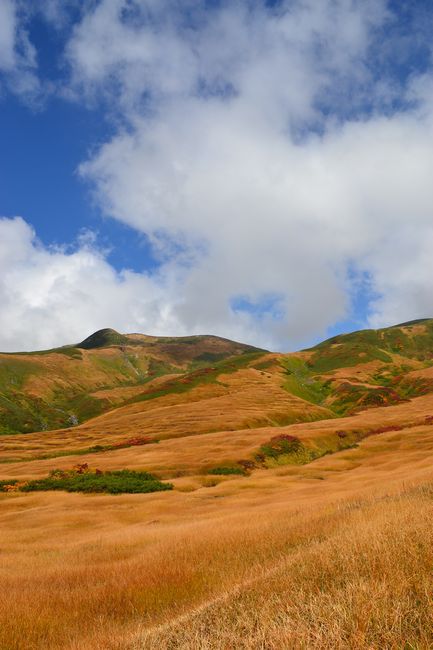 紅葉と静寂の鳥海山へ