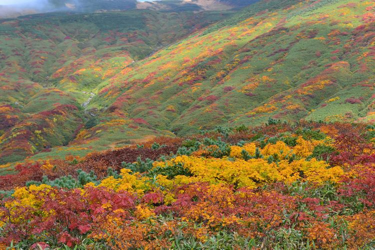 紅葉と静寂の鳥海山へ