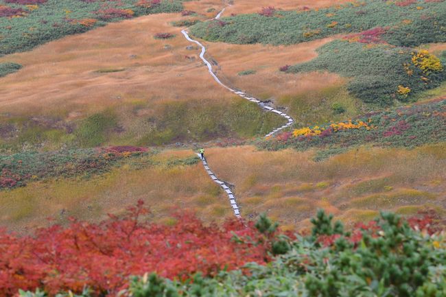 紅葉と静寂の鳥海山へ