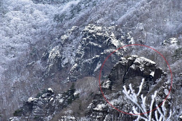 霧氷の霊山