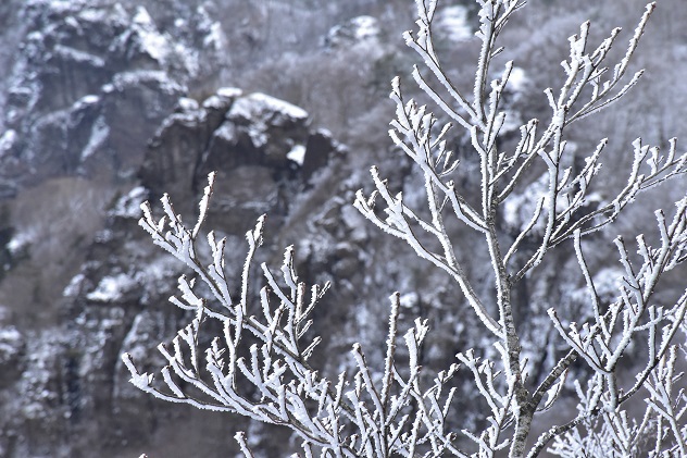 霧氷の霊山