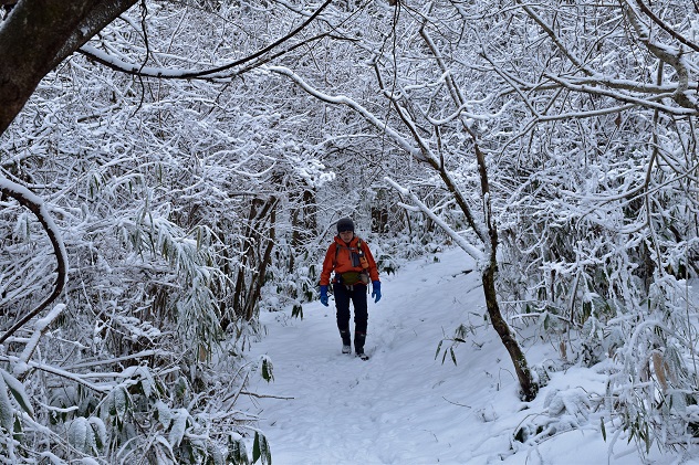 霧氷の霊山