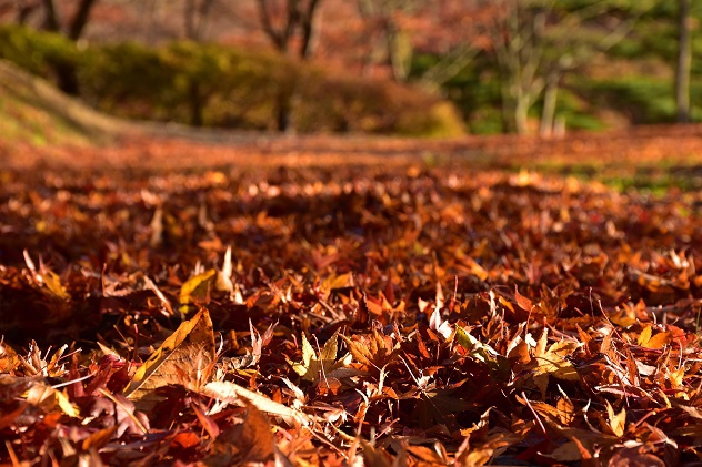 碧玉渓の紅葉