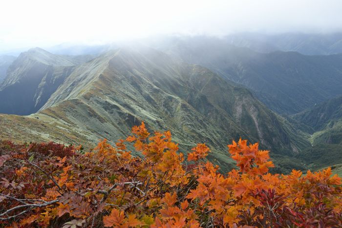秋めく谷川岳  ～ヨコク-～　