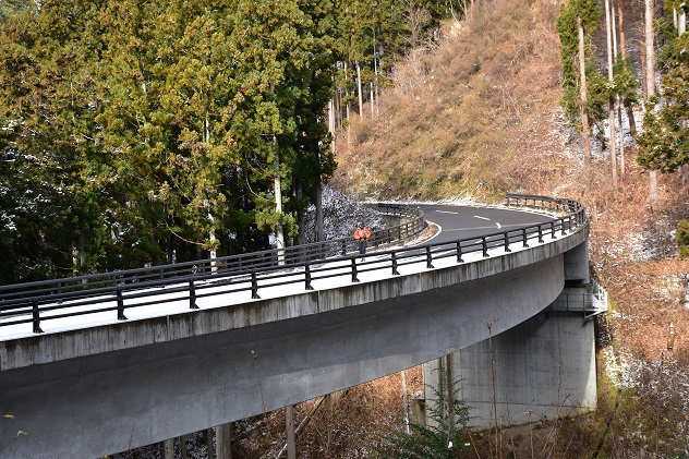 霧氷の霊山