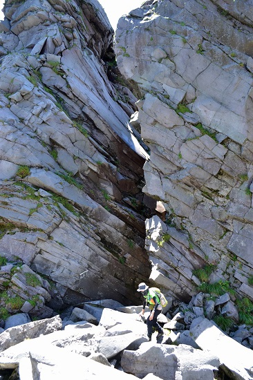 オコジョに魅了される～鳥海山～