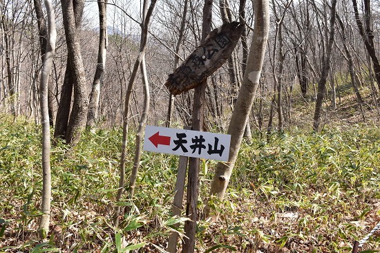 UFOの里　千貫森
