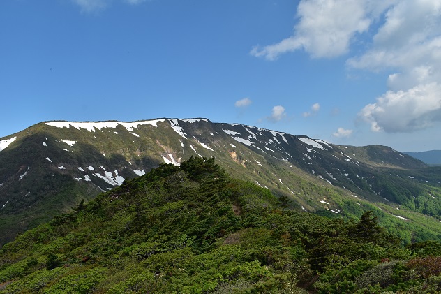 南蔵王の春花便り