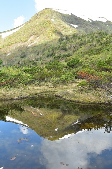 南蔵王の春花便り