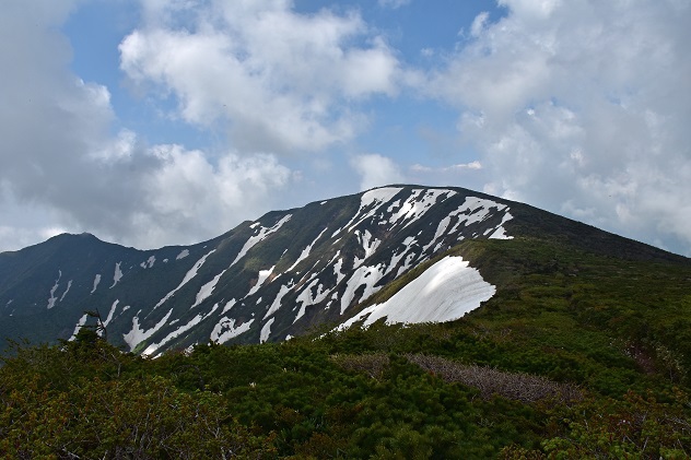 南蔵王の春花便り