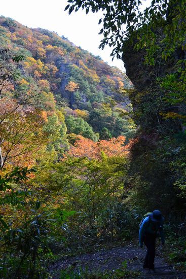 紅葉と岩が絶妙in霊山