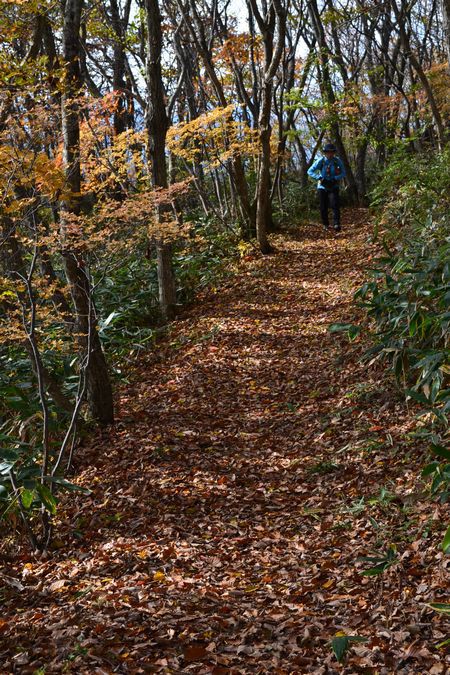紅葉と岩が絶妙in霊山