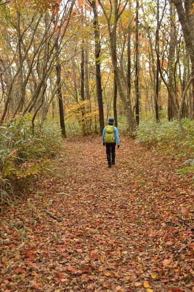 紅葉と岩が絶妙in霊山
