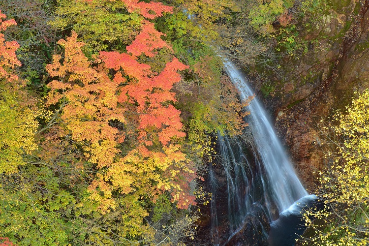 紅葉絶景　吾妻スカイライン