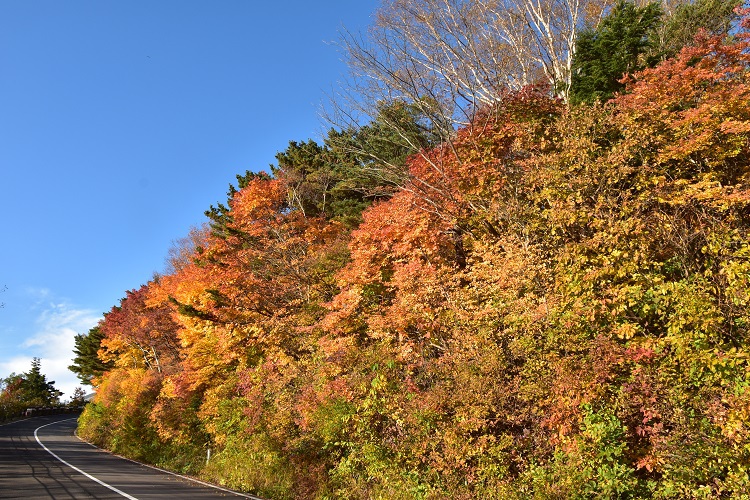 紅葉絶景　吾妻スカイライン