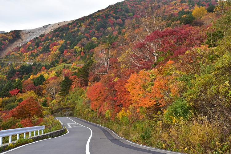 紅葉絶景　吾妻スカイライン