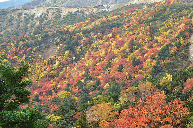 紅葉絶景　吾妻スカイライン