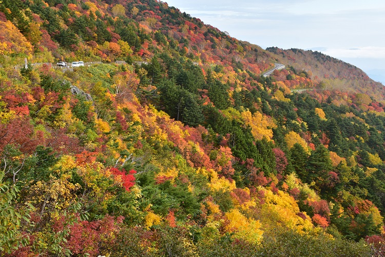 紅葉絶景　吾妻スカイライン