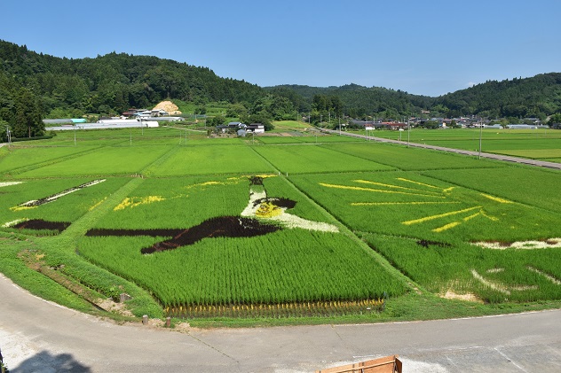 田んぼアートと向日葵