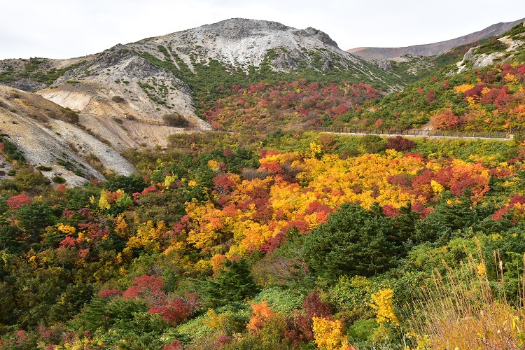 紅葉絶景　吾妻スカイライン