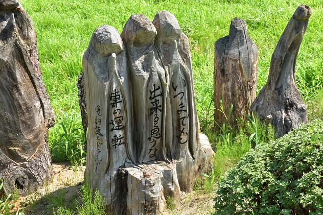 田んぼアートと向日葵