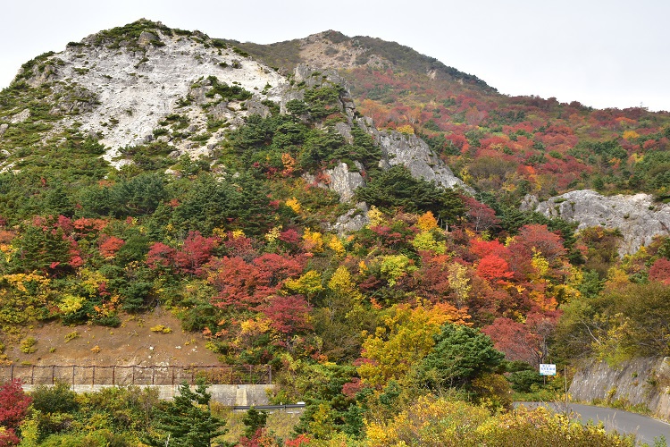 紅葉絶景　吾妻スカイライン