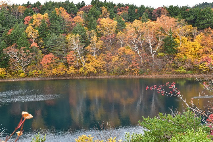 紅葉絶景　吾妻スカイライン