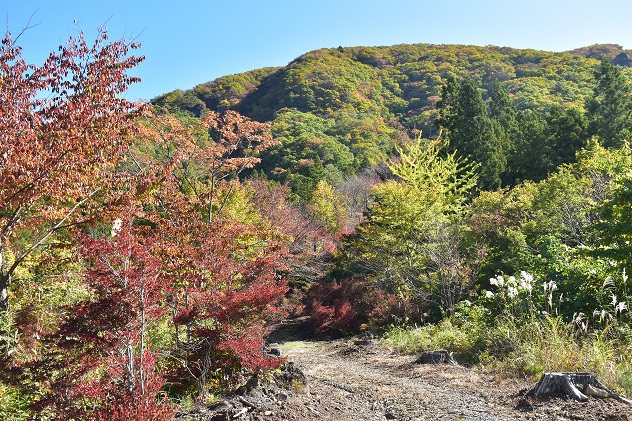 秋澄む霊山