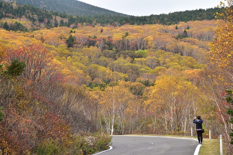 紅葉絶景　吾妻スカイライン
