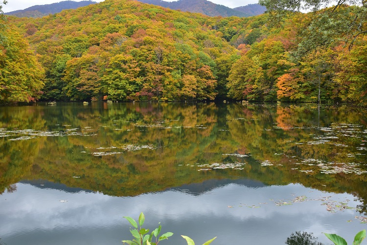 紅葉絶景　吾妻スカイライン