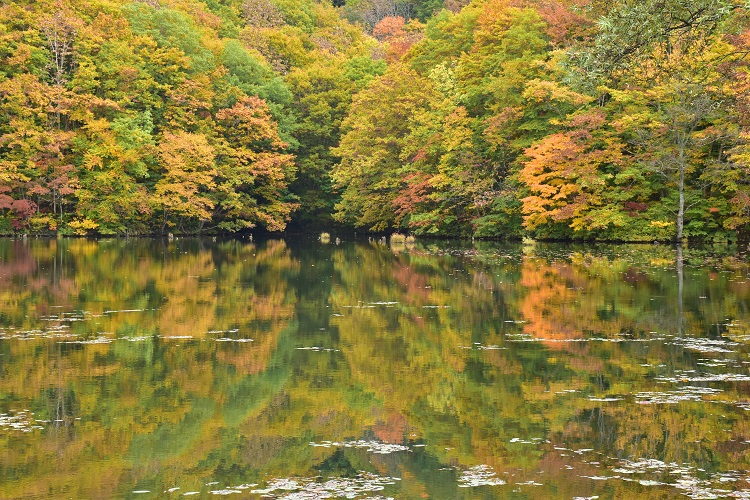 紅葉絶景　吾妻スカイライン
