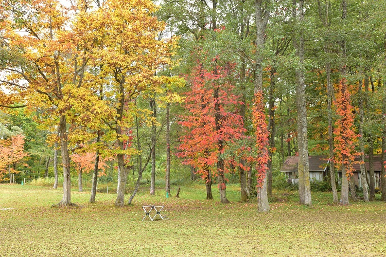 紅葉絶景　吾妻スカイライン