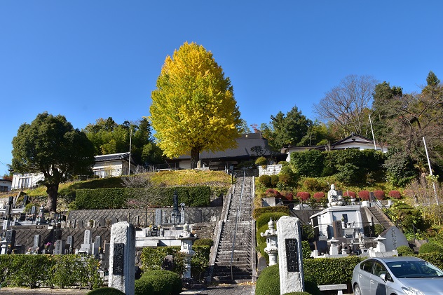 秋惜しむ半田山自然公園