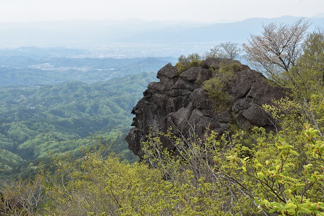 霊山が新緑に包まれる