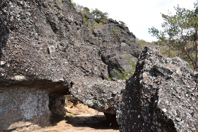 霊山が新緑に包まれる