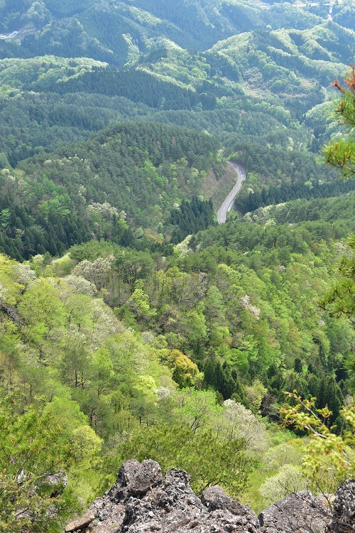 霊山が新緑に包まれる