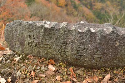 モミジ、もみじ、紅葉♪の奥久慈男体山　縦走路